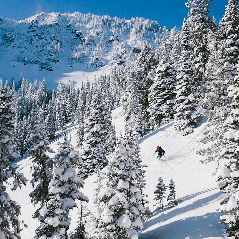 Bridger Bowl, MT ©Aidan Weltner 2014-2016